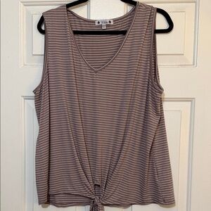 Wilde Brown Striped Top